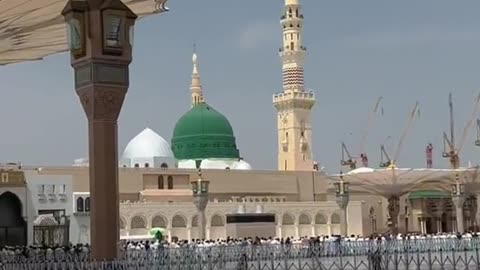 Metha madina