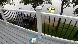 Title job at "The Lake House"