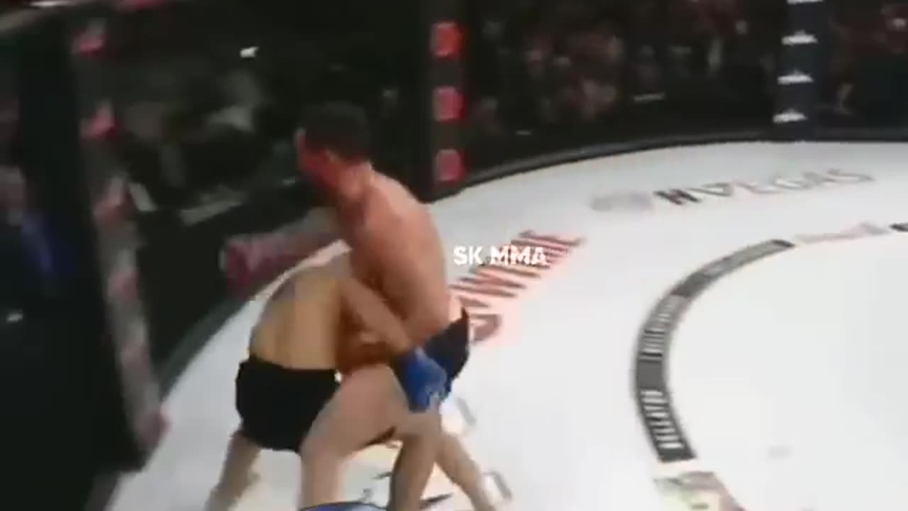 MMA ufc