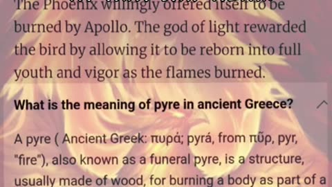 IS IT AN EAGLE? PHOENIX RISES 🔥🔥🔥🔥