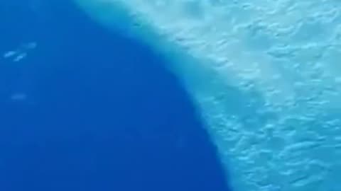 FEAR OF THE SEA
