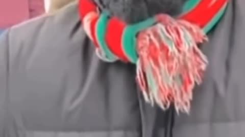 Rastafari Canadian Message to Canada
