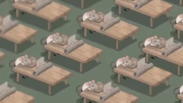 You begin to understand....😨