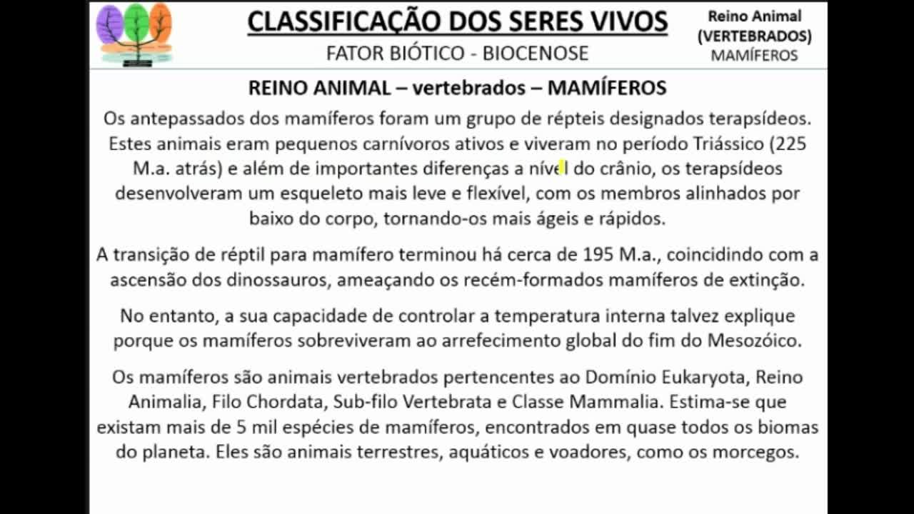 Seres Vivos: Vertebrados Mamíferos - MinhaEscolaWeb