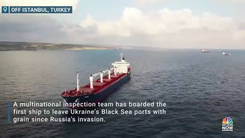 Ship Carrying Grain From Ukraine Stopped For Checks Off Istanbul