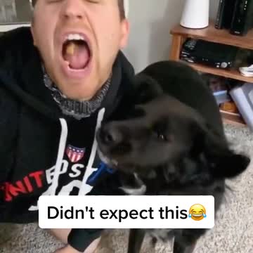 owner didnt expect from what happen.mp4