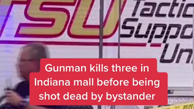 Gunman kills three in Indiana mall before being shot dead by bystander