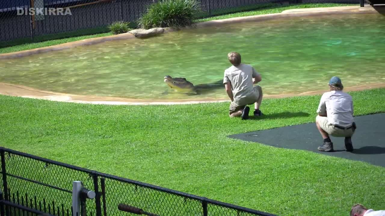 Robert Irwin getting pulled by Murray the crocodile's powerful head shakes!!!