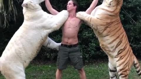 REAL TARZAN RAISED WITH TIGERS KODY ANTLE