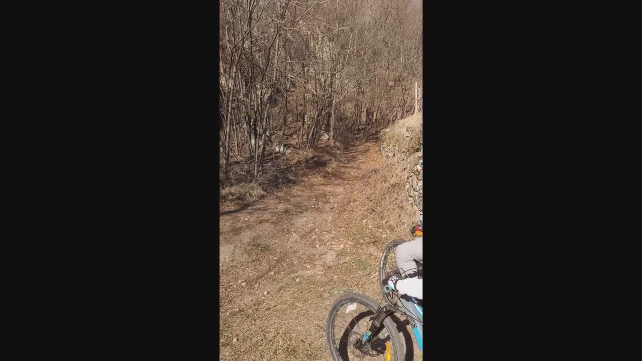 Best MTB Fails Of 2022 #108 MTB Crashes of 2022 Mtb classic