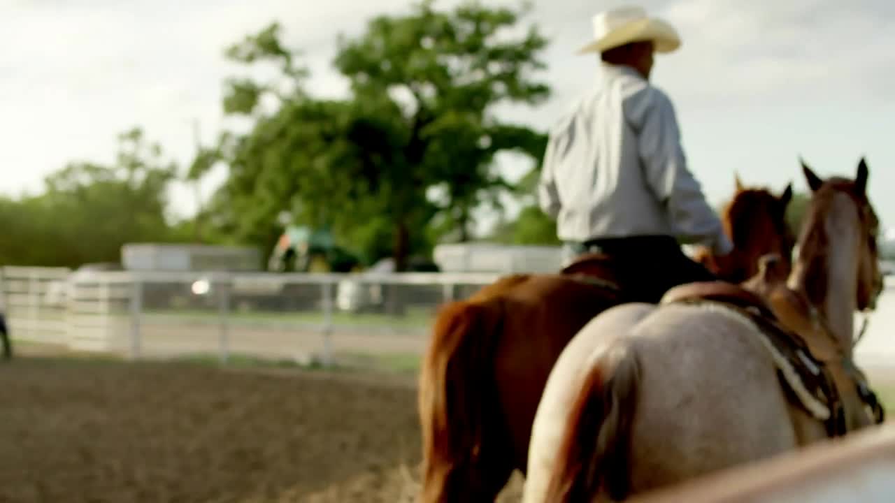 Rodeo Cowboy with His Horses, Texas