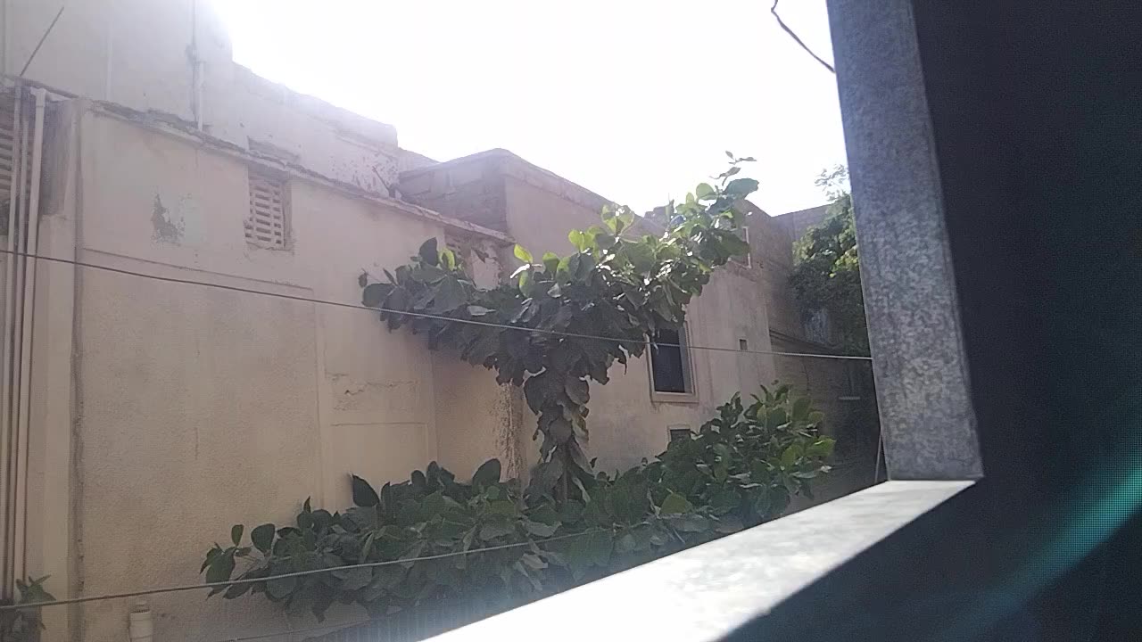 Time lapse video of nature