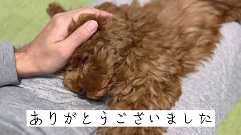 【ご報告】体調不良後の現状について