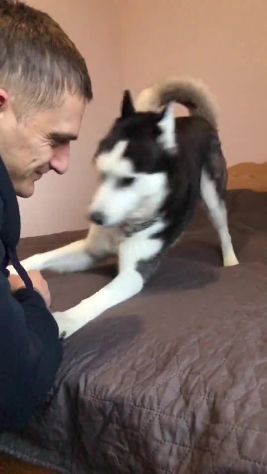 DONT GO TO WORK STAY WITH ME.mp4