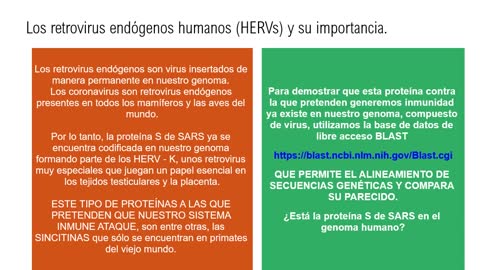 Vacunas de ARN mensajero y proteínas retrovirales humanas.