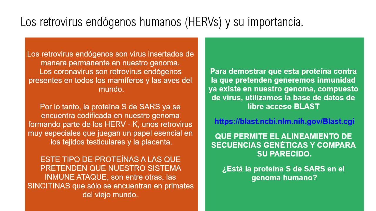 Vacunas de ARN mensajero y proteínas retrovirales humanas.