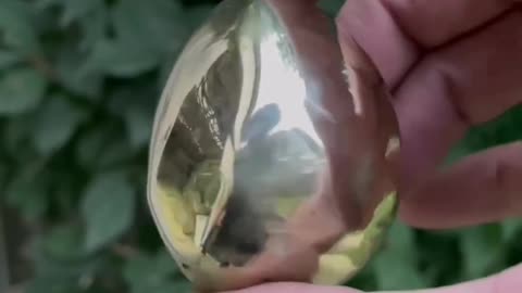 Golden Egg