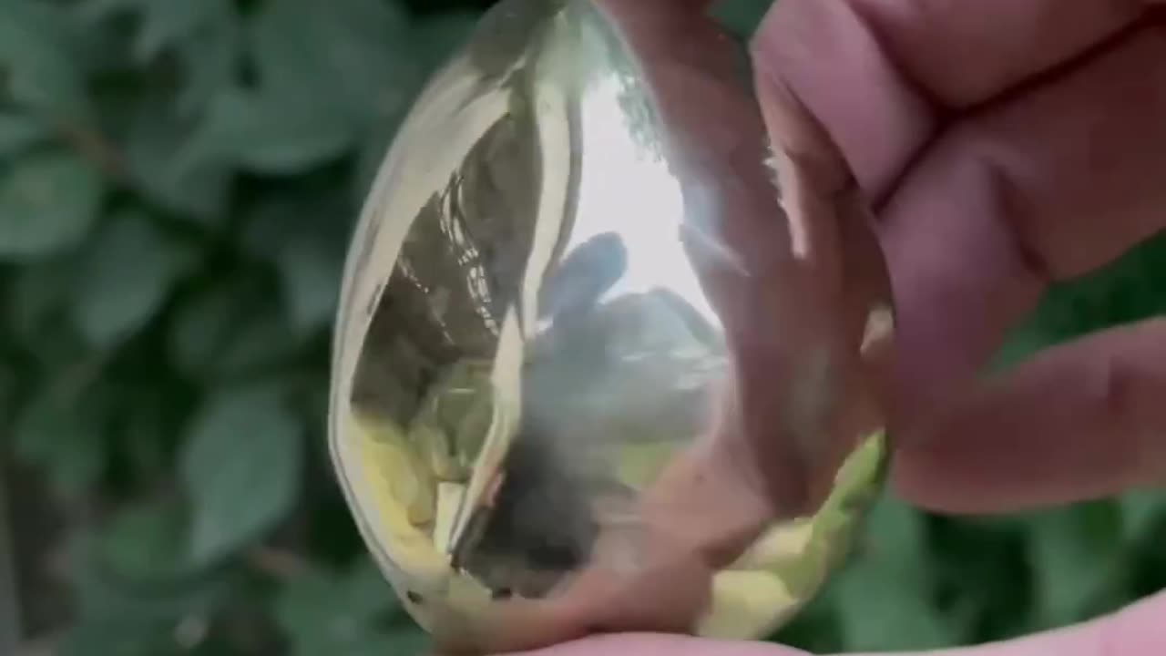 Golden Egg