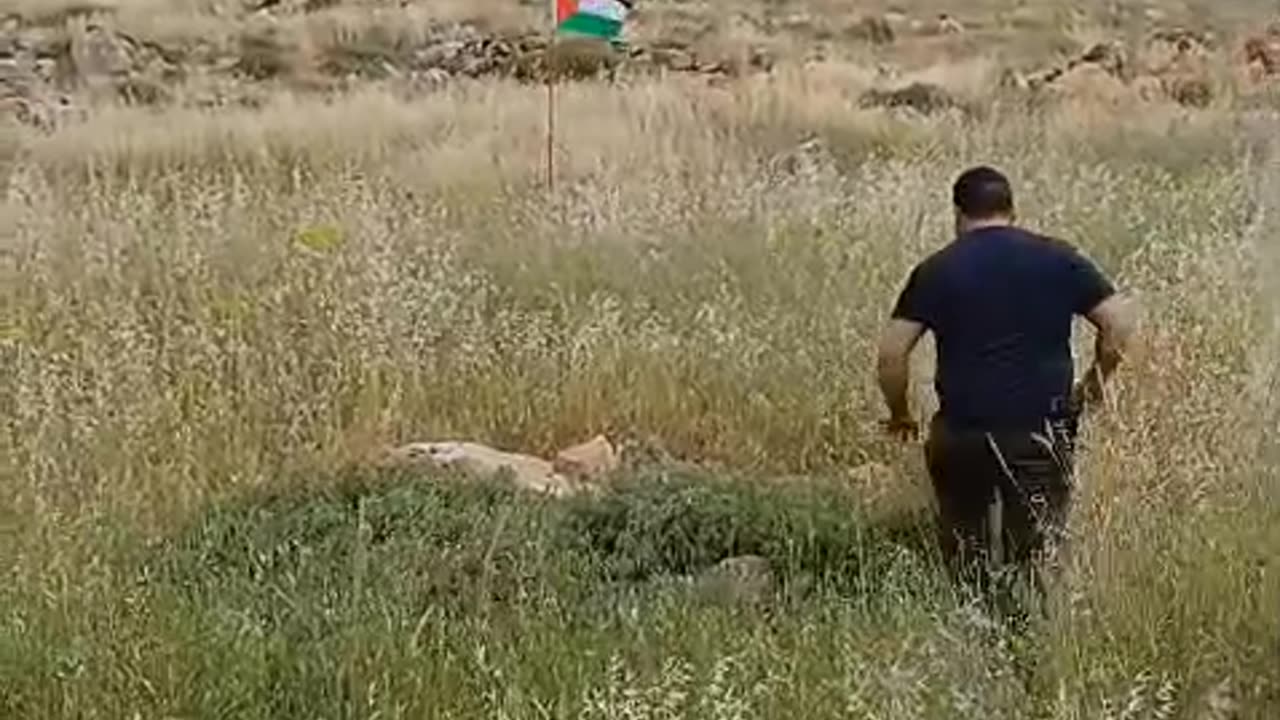 THE PALESTINIAN FLAG AMBUSH