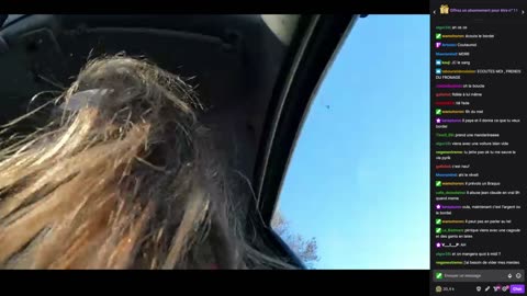 2023-02-17 (6bis) - Et maintenant déchargement de la Laguna - Meutemediatique (avec chat)