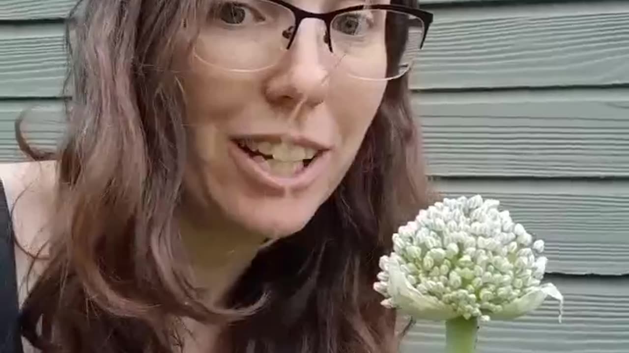 Blooming Onion Joke