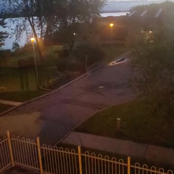 Early in the morning