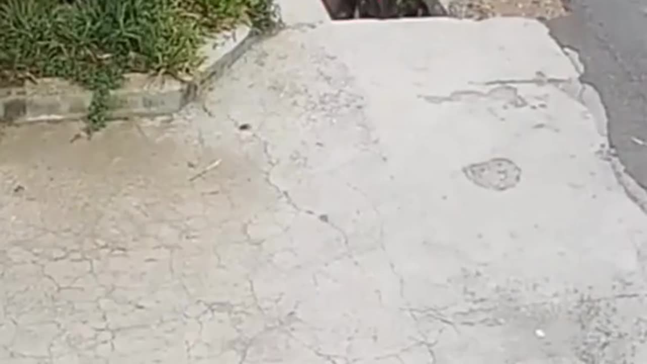 because of lack of focus