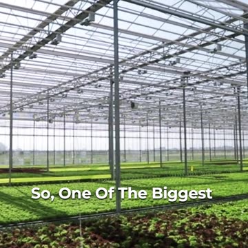 🌿 Exploring The Greenhouse Essentials! 🏡