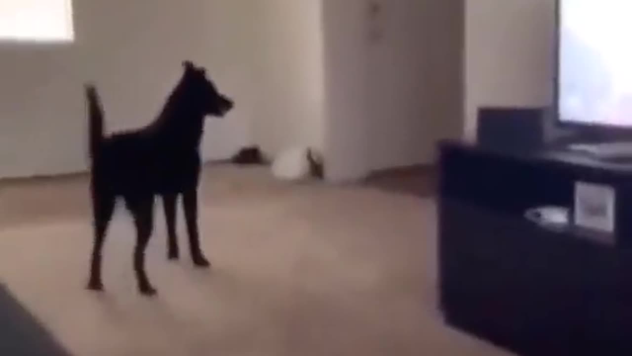 Hey, where are you