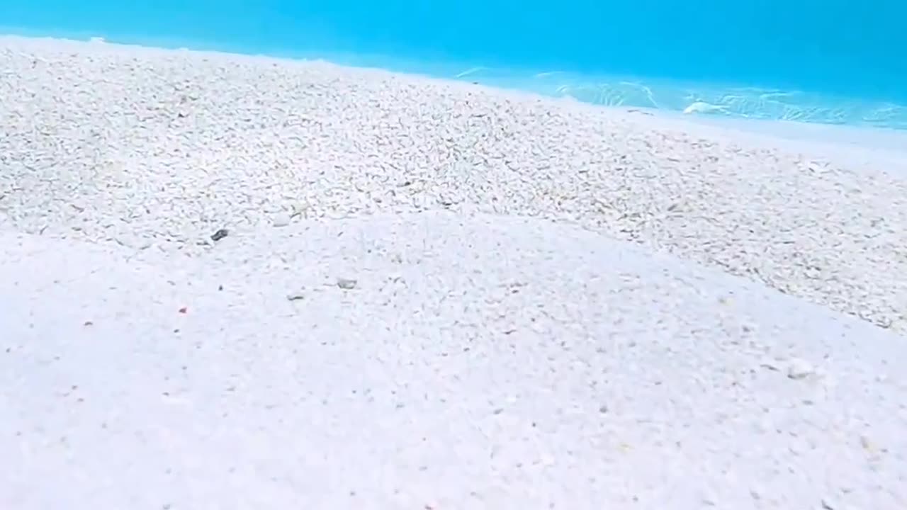 Video by nature