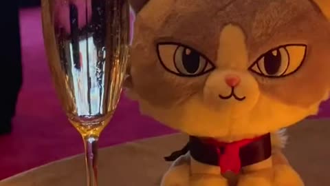 You would never believe Puff was invited to Don’t Look Up premiere!!!