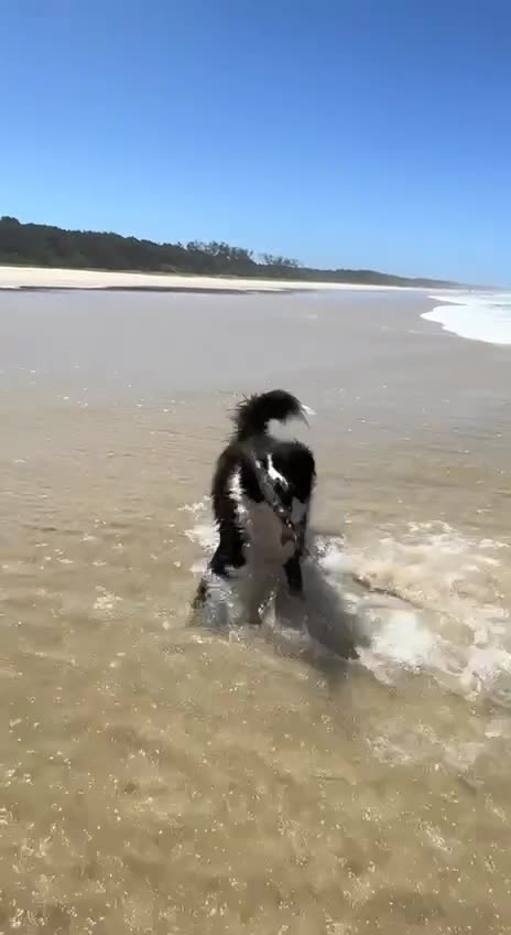 That’s gangsta move 👍👍