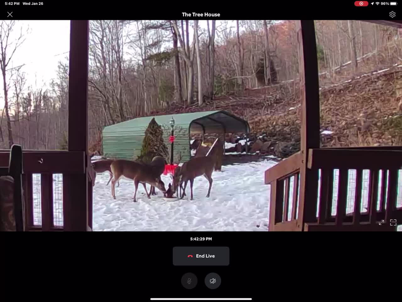 NC High country Dinner time Apples 🍎 Carrots 🥕 Peanuts 🥜 God’s Country