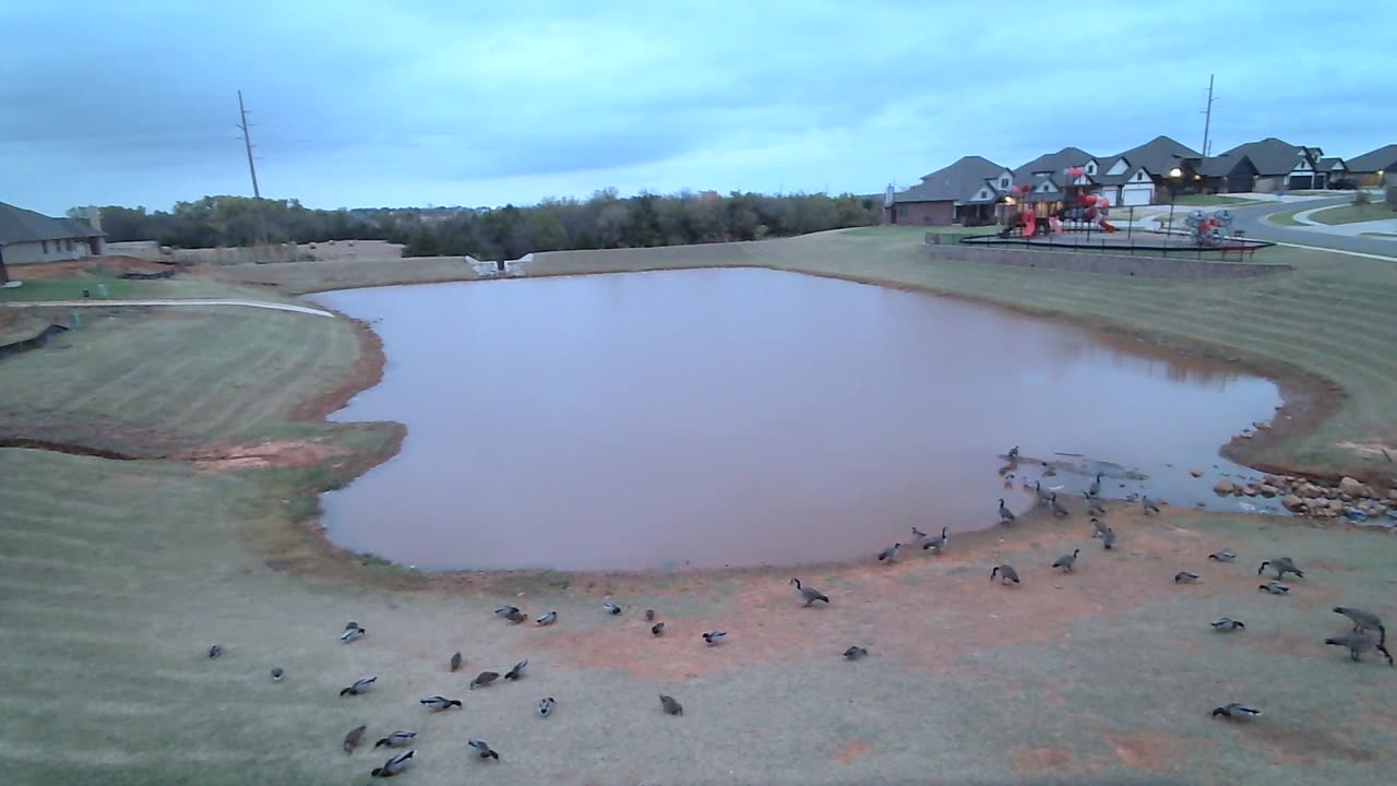 Clouday morning on the pond