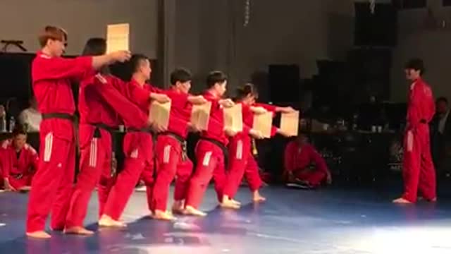 Taekwondo