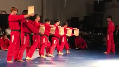 Taekwondo