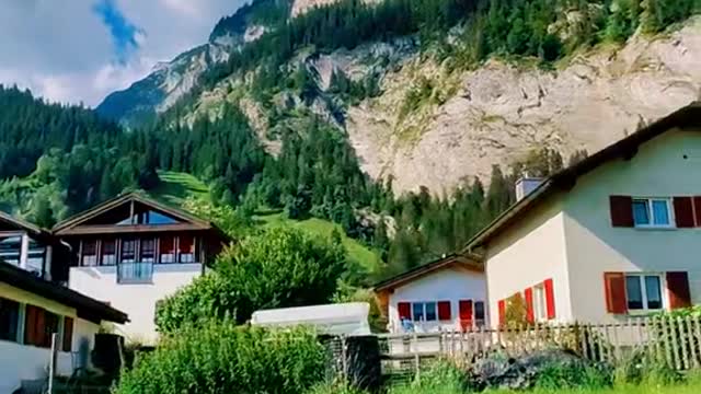 Swiss nature is just different ⛰️🌲