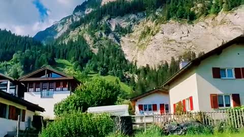 Swiss nature is just different ⛰️🌲