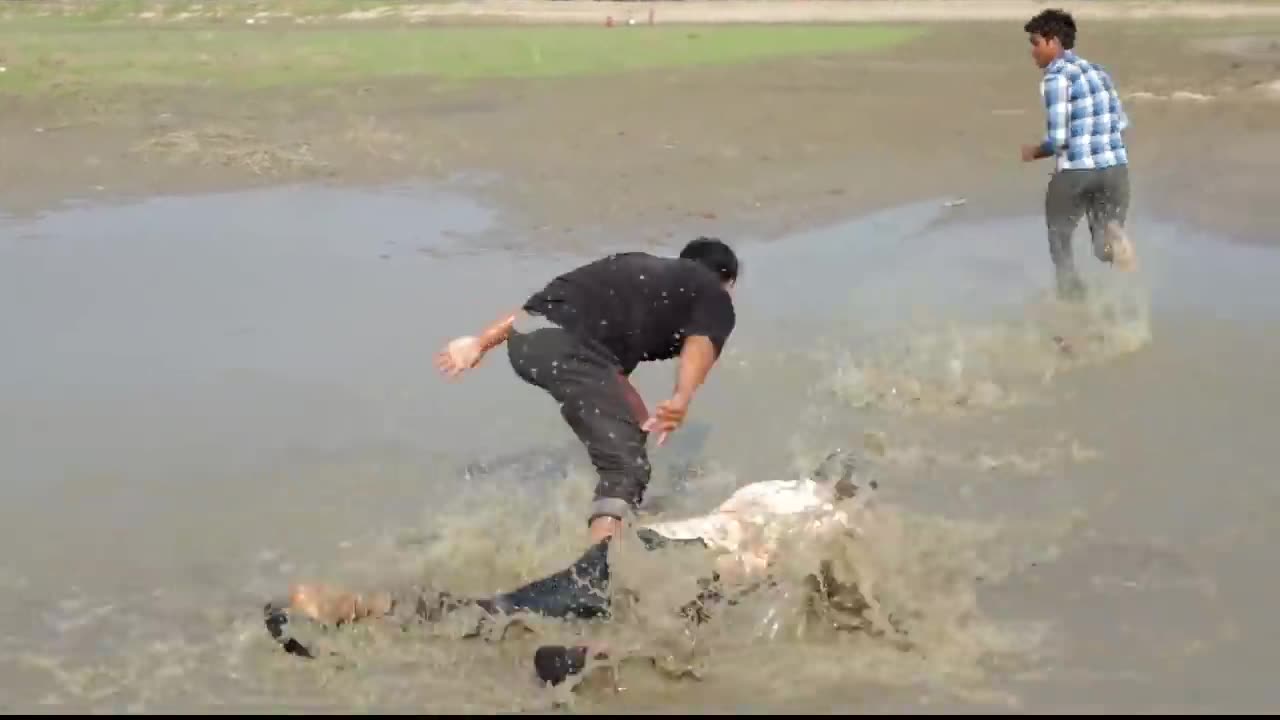 Must Watch Funny videos