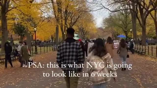 PSA: this is what NYC is going to look like in 6 weeks
