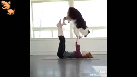 cute puppy video | cute and funny animals video | very cute | cuteanimals09