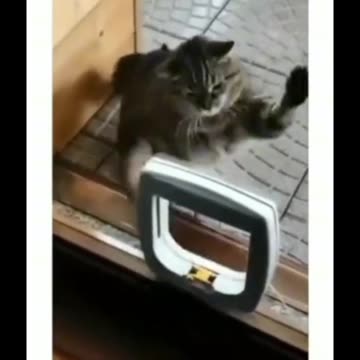 training for the next fight