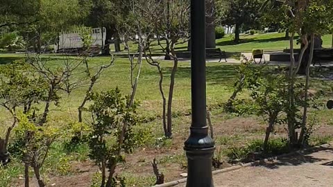 Parque de Los Reyes in Santiago, Chile 🌳🇨🇱