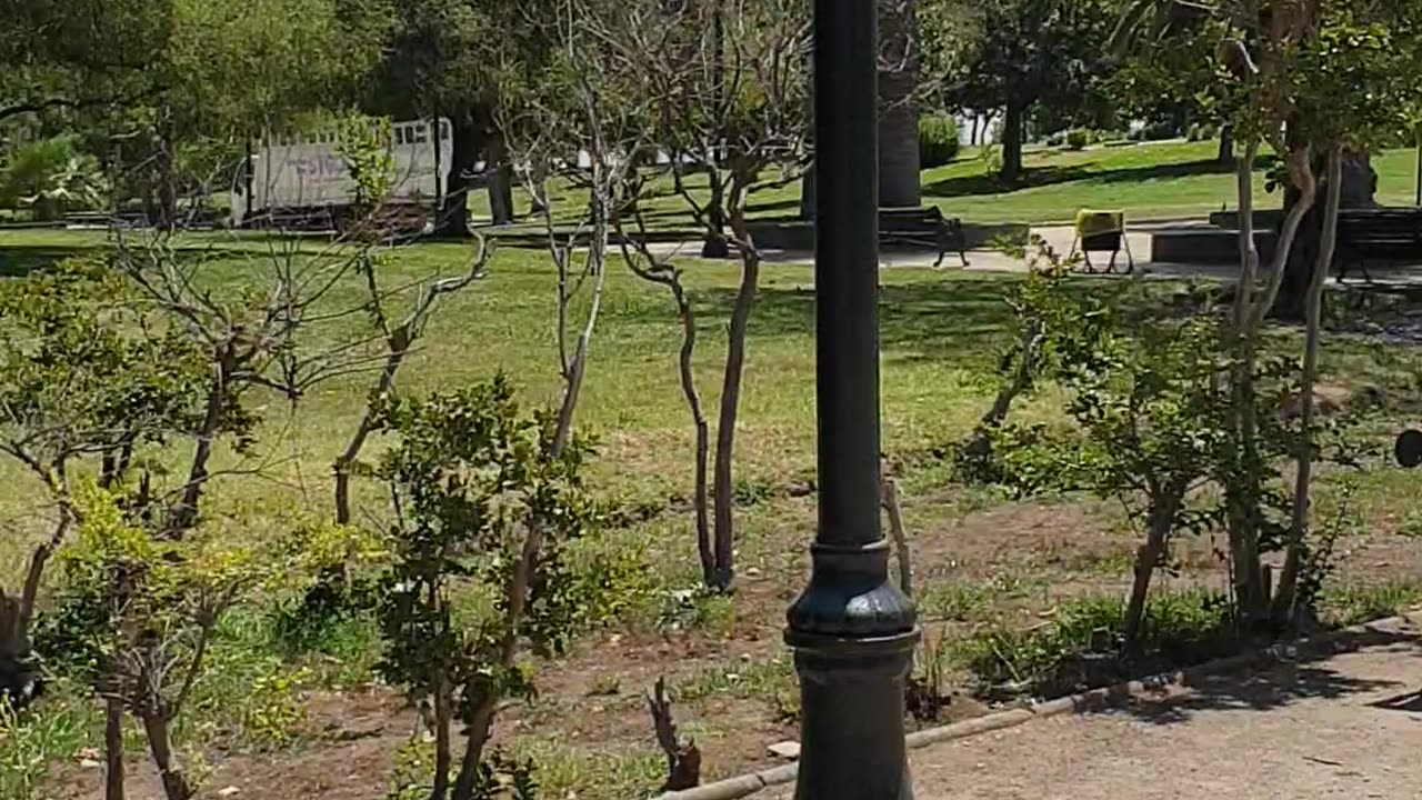 Parque de Los Reyes in Santiago, Chile 🌳🇨🇱