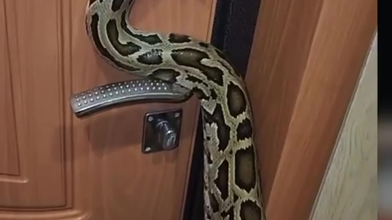 Hell to the NO on this idea 👎👎