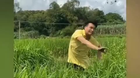 Funny _ Hilarious Video People_s Life _37 -- Try Not To Laugh Funny Videos 2023