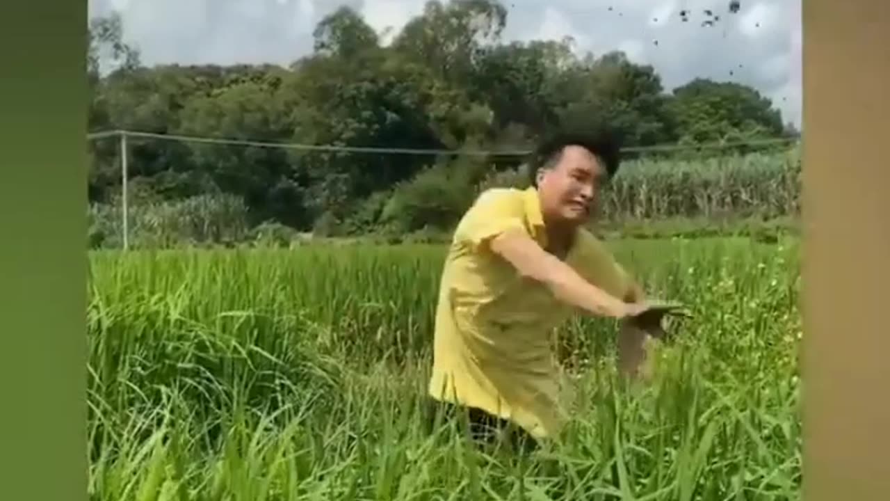 Funny _ Hilarious Video People_s Life _37 -- Try Not To Laugh Funny Videos 2023