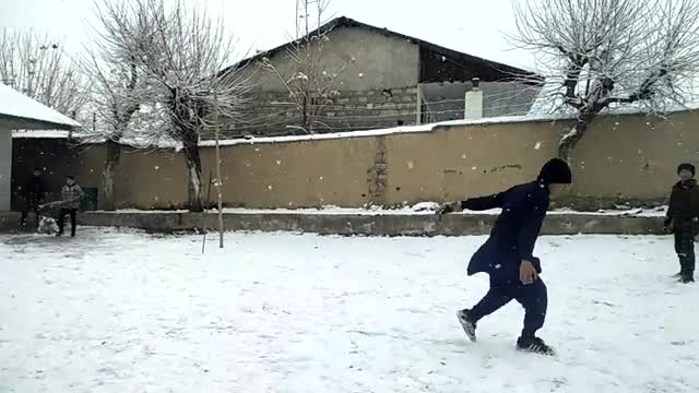 Snow cricket || snow || cricket || enjoy in snow fall