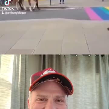 Horses don't like the LGBTQ flag...funny