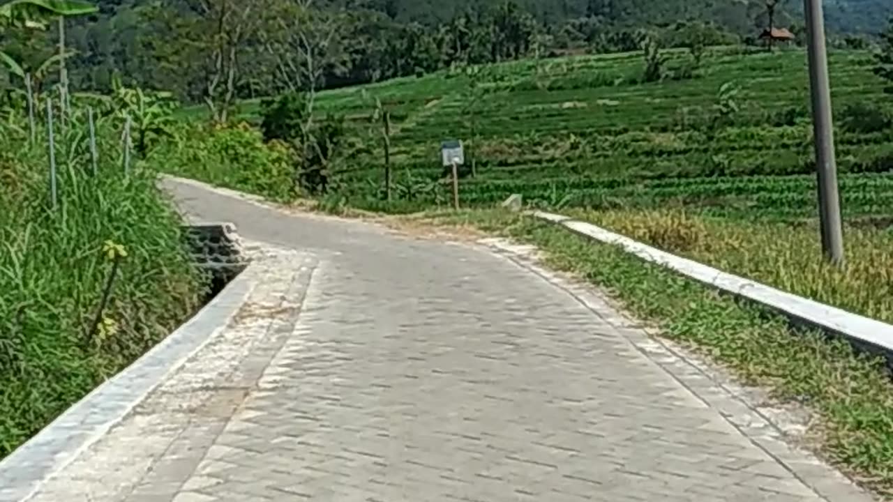 Indonesian view